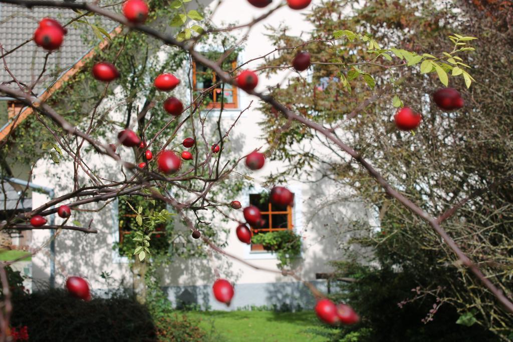 The Farmhouse Bevsek Osep Solčava Екстериор снимка