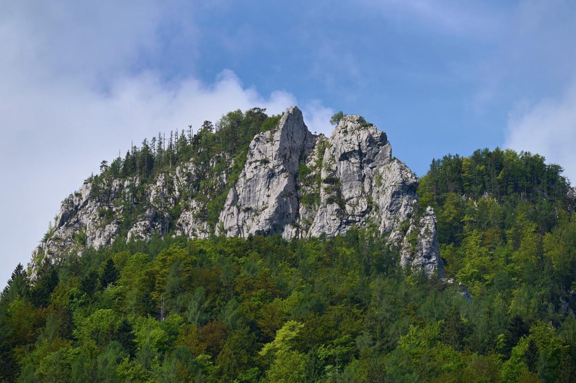 The Farmhouse Bevsek Osep Solčava Екстериор снимка