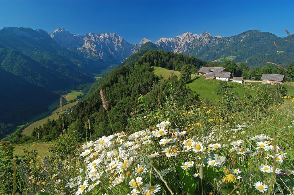 The Farmhouse Bevsek Osep Solčava Екстериор снимка